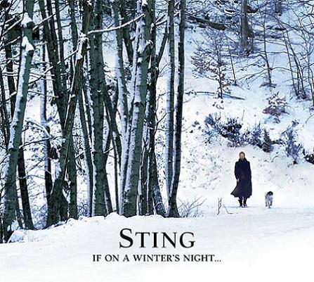 sting_winter_night